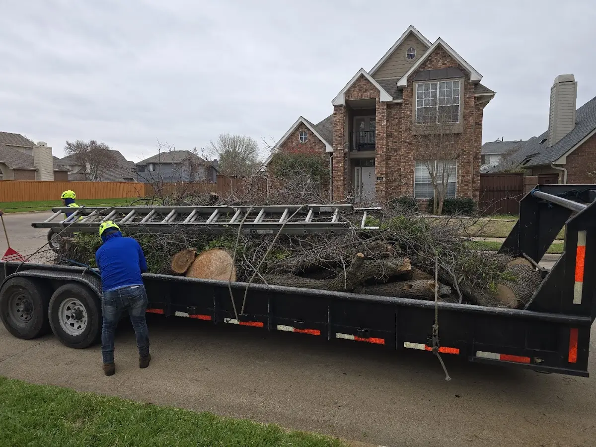 Expert Tree Pest Control with proper safety equipment in Scotland